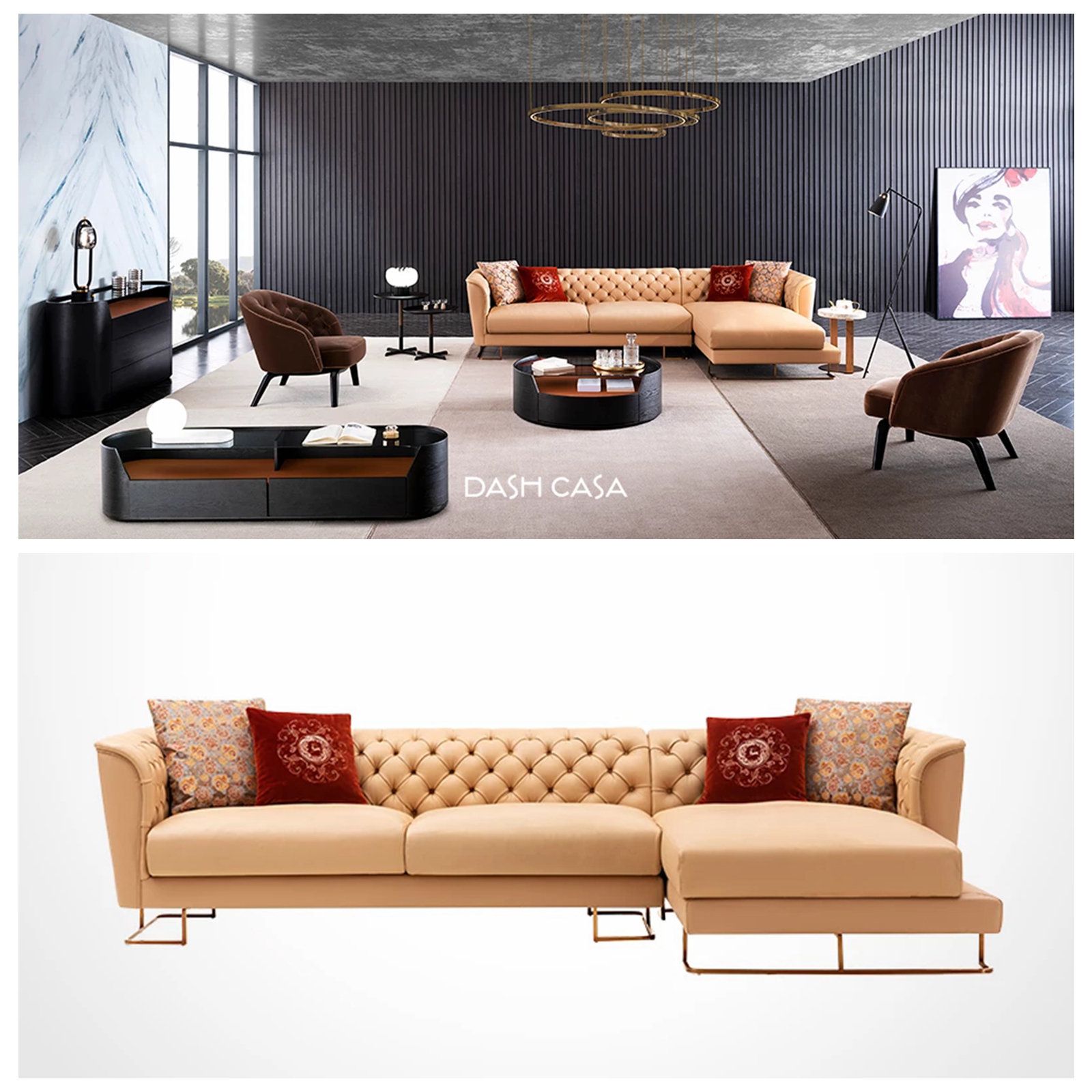 home sofa set (1)
