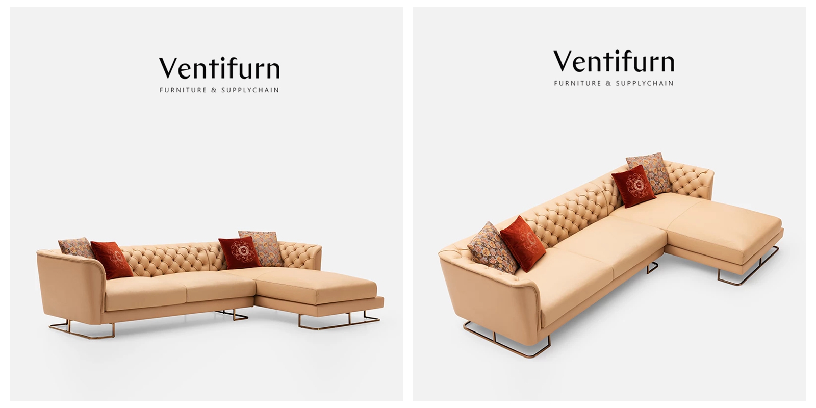 home sofa set (2)
